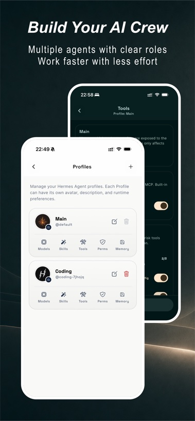 Manage Agent Profiles, tools, permissions, and memory